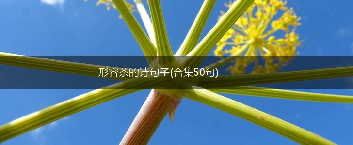 形容茶的诗句子(合集50句),第1张