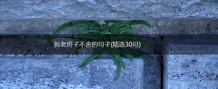 拆老房子不舍的句子(精选30句),第1张