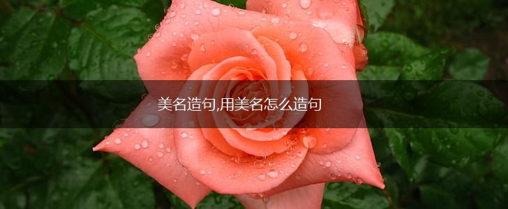 美名造句,用美名怎么造句,第1张