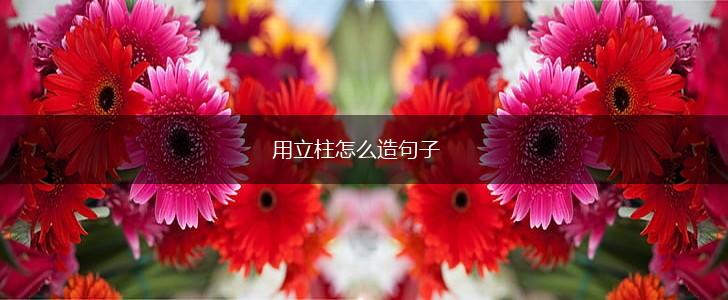 用立柱怎么造句子,第1张 用立柱怎么造句子,第1张