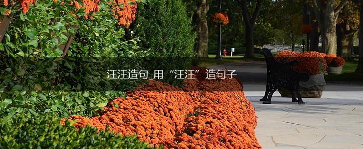 汪汪造句_用“汪汪”造句子,第1张 汪汪造句_用“汪汪”造句子,第1张