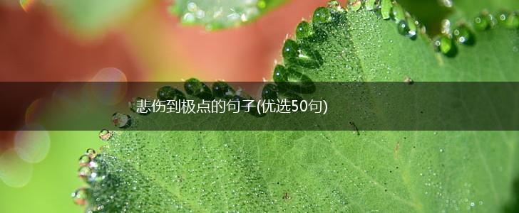 悲伤到极点的句子(优选50句),第1张