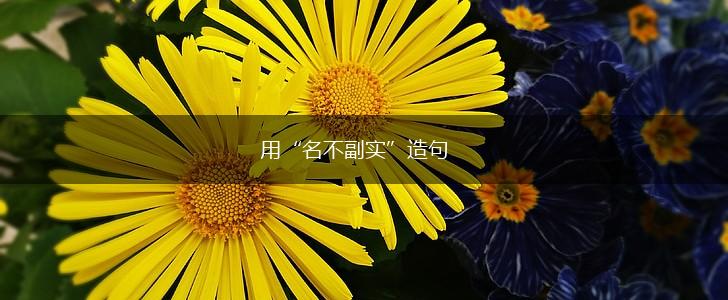 用“名不副实”造句,第1张