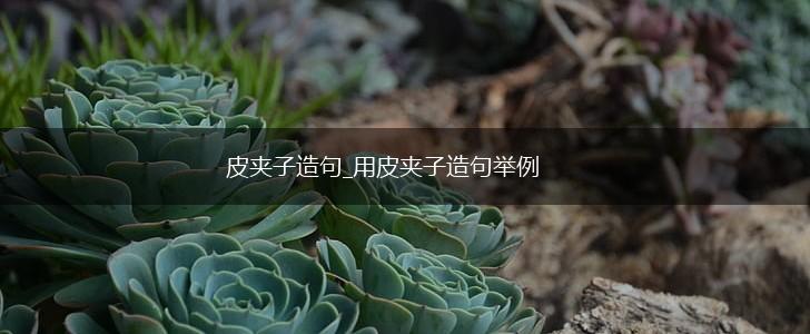 皮夹子造句_用皮夹子造句举例,第1张 皮夹子造句_用皮夹子造句举例,第1张