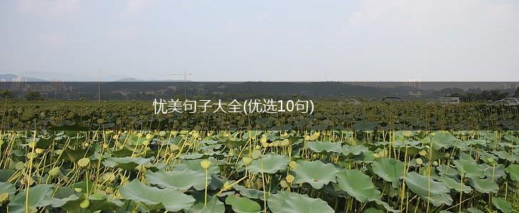 忧美句子大全(优选10句),第1张