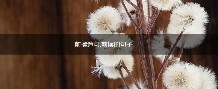 前摆造句,前摆的句子,第1张 前摆造句,前摆的句子,第1张