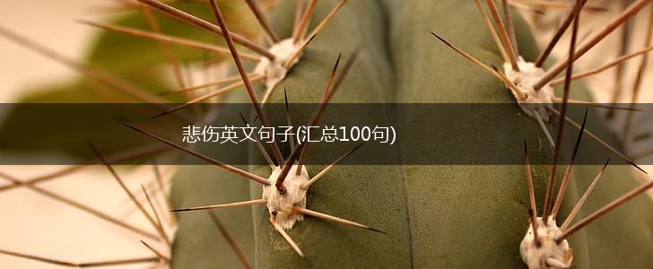 悲伤英文句子(汇总100句),第1张