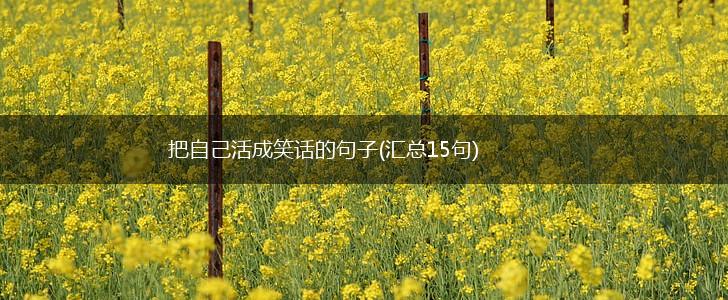 把自己活成笑话的句子(汇总15句),第1张