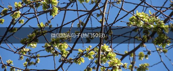 微信励志句子(热门50句),第1张