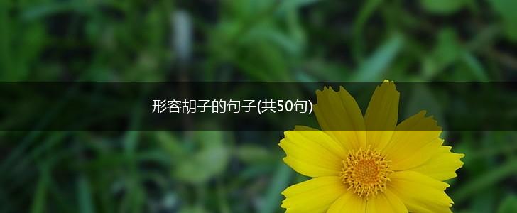 形容胡子的句子(共50句),第1张