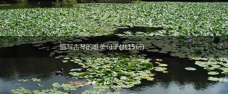 描写古琴的唯美句子(共15句),第1张