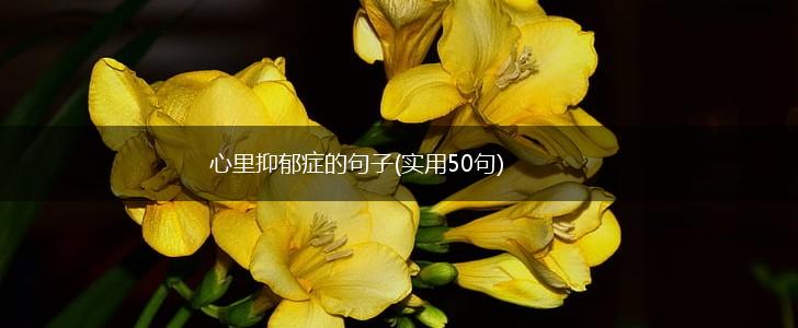 心里抑郁症的句子(实用50句),第1张