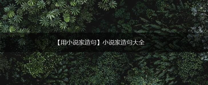 【用小说家造句】小说家造句大全,第1张 【用小说家造句】小说家造句大全,第1张
