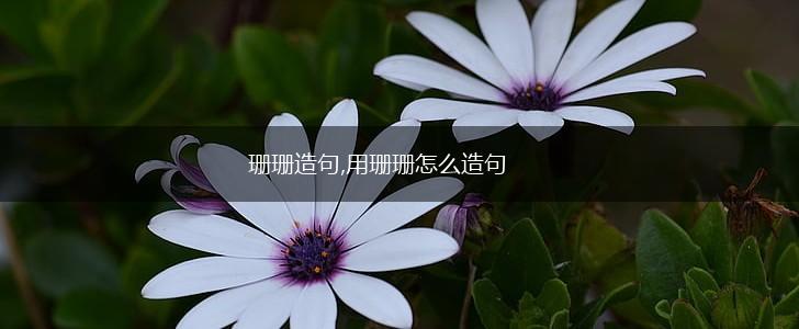 珊珊造句,用珊珊怎么造句,第1张