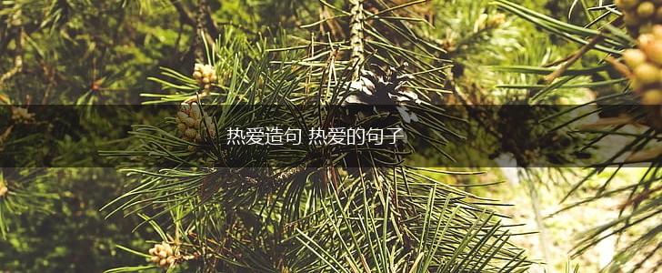 热爱造句 热爱的句子,第1张 热爱造句 热爱的句子,第1张
