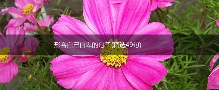 形容自己自卑的句子(精选49句),第1张