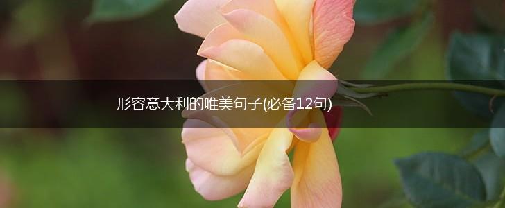 形容意大利的唯美句子(必备12句),第1张