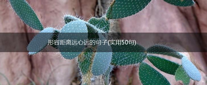形容距离远心远的句子(实用50句),第1张