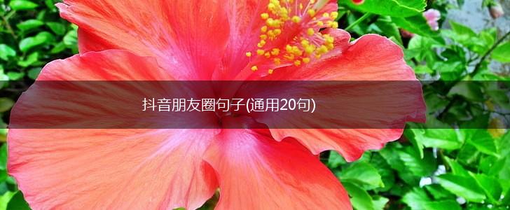 抖音朋友圈句子(通用20句),第1张