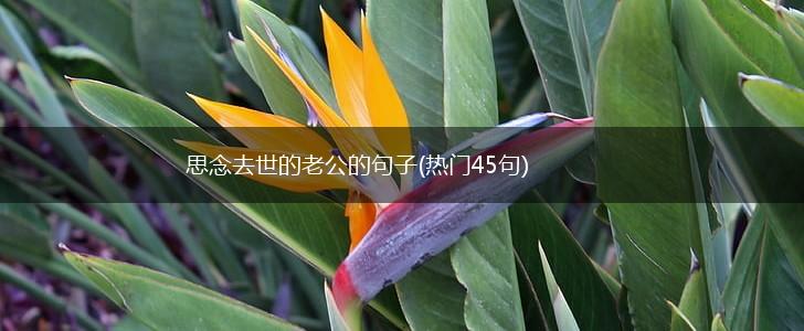 思念去世的老公的句子(热门45句),第1张