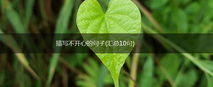 描写不开心的句子(汇总10句),第1张