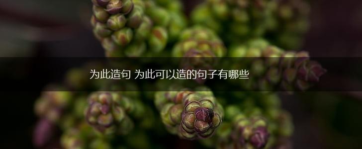 为此造句 为此可以造的句子有哪些,第1张 为此造句 为此可以造的句子有哪些,第1张