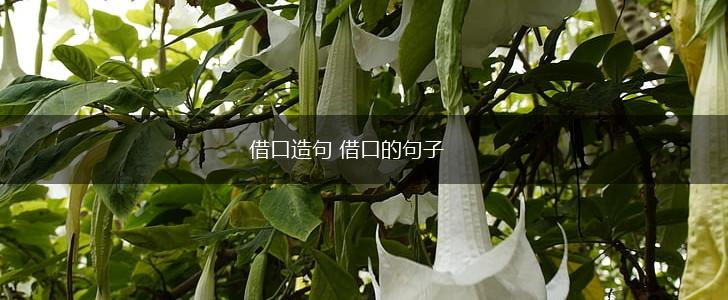 借口造句 借口的句子,第1张 借口造句 借口的句子,第1张