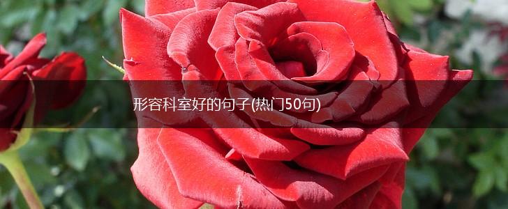 形容科室好的句子(热门50句),第1张