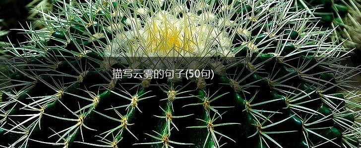 描写云雾的句子(50句),第1张