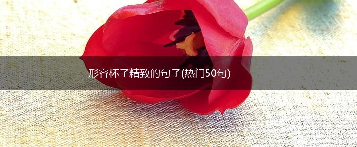 形容杯子精致的句子(热门50句),第1张