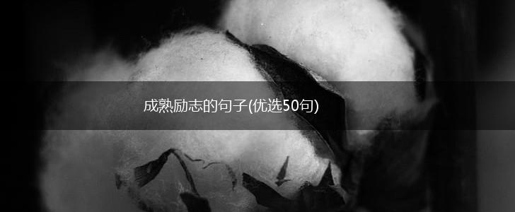 成熟励志的句子(优选50句),第1张