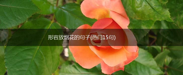 形容放烟花的句子(热门15句),第1张