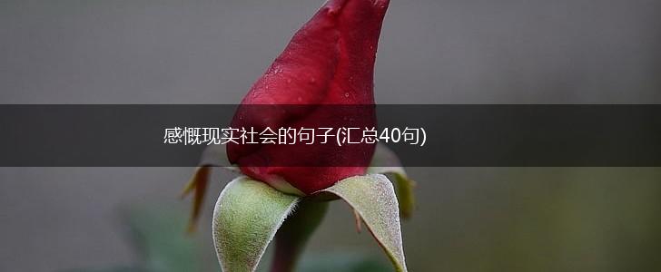 感慨现实社会的句子(汇总40句),第1张