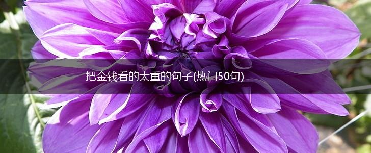 把金钱看的太重的句子(热门50句),第1张