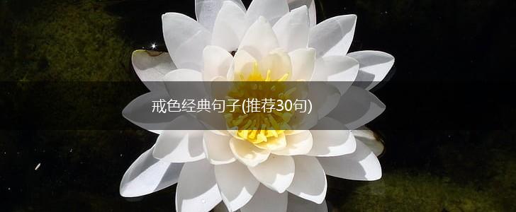 戒色经典句子(推荐30句),第1张