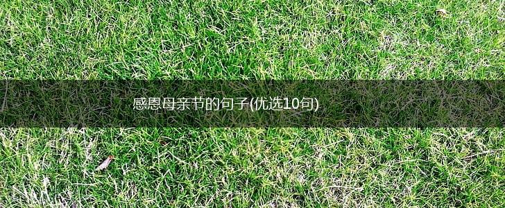 感恩母亲节的句子(优选10句),第1张