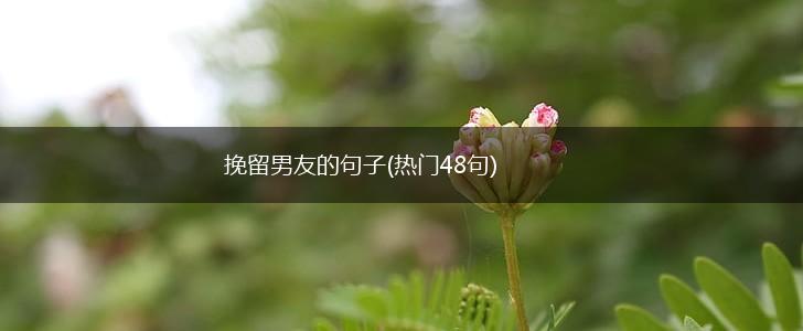 挽留男友的句子(热门48句),第1张