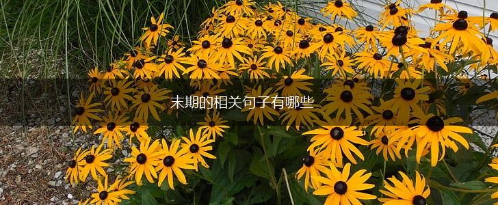末期的相关句子有哪些,第1张 末期的相关句子有哪些,第1张