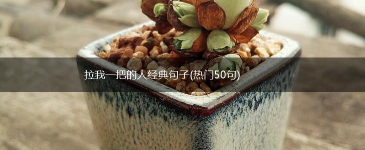 拉我一把的人经典句子(热门50句),第1张