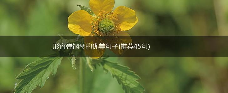 形容弹钢琴的优美句子(推荐45句),第1张