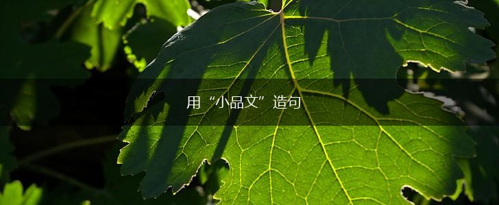 用“小品文”造句,第1张 用“小品文”造句,第1张