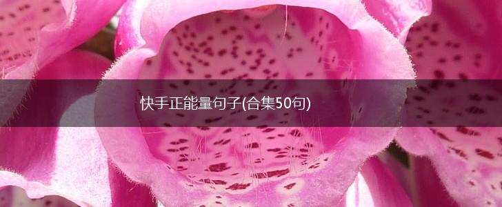 快手正能量句子(合集50句),第1张