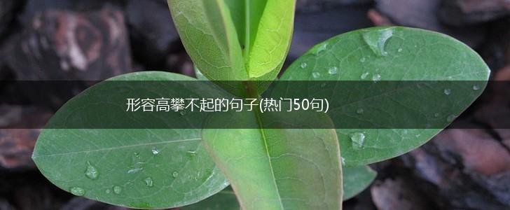 形容高攀不起的句子(热门50句),第1张