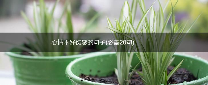 心情不好伤感的句子(必备20句),第1张