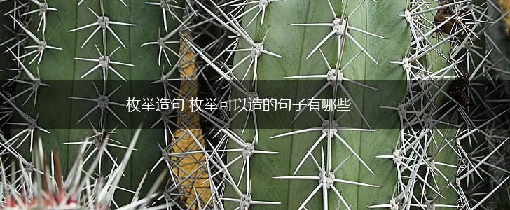 枚举造句 枚举可以造的句子有哪些,第1张 枚举造句 枚举可以造的句子有哪些,第1张