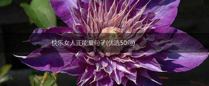 快乐女人正能量句子(优选50句),第1张