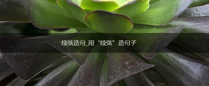 续弦造句_用“续弦”造句子,第1张 续弦造句_用“续弦”造句子,第1张