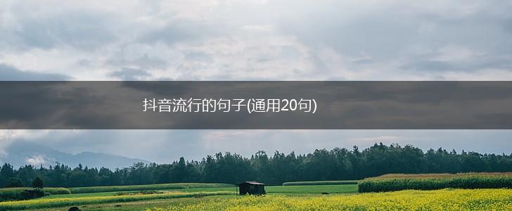 抖音流行的句子(通用20句),第1张