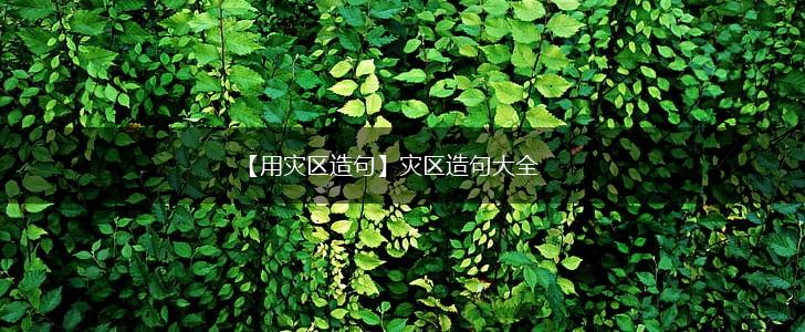 【用灾区造句】灾区造句大全,第1张 【用灾区造句】灾区造句大全,第1张