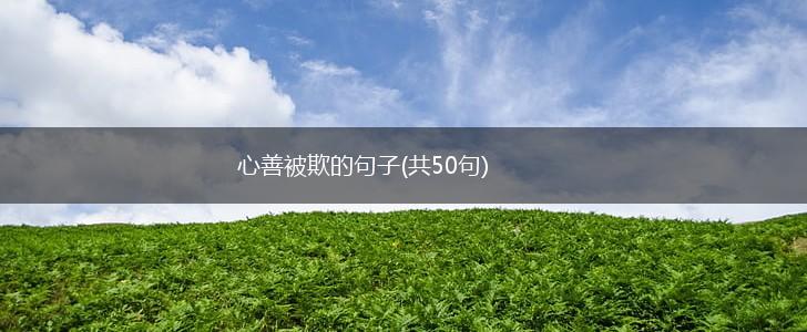 心善被欺的句子(共50句),第1张